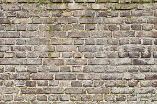 Old wall surface — Stock Photo, Image
