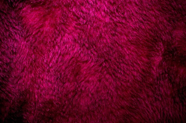 Violet fur — Stock Photo, Image