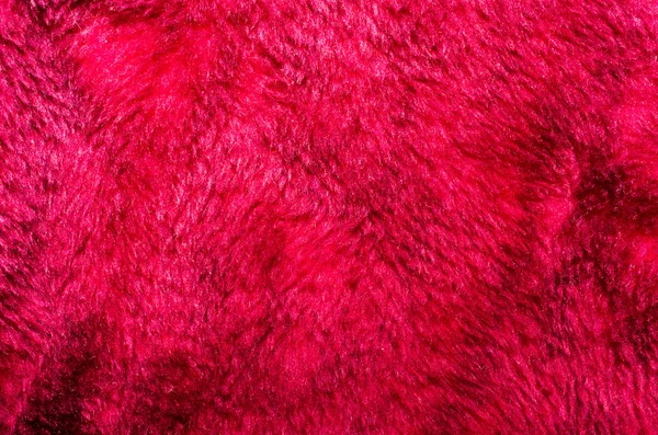 Red fur — Stock Photo, Image