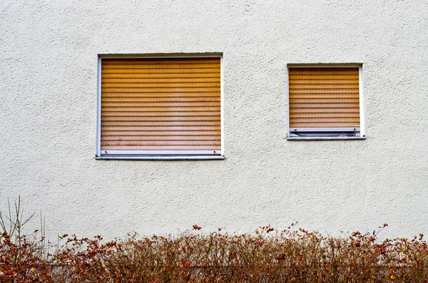 Dos ventanas —  Fotos de Stock