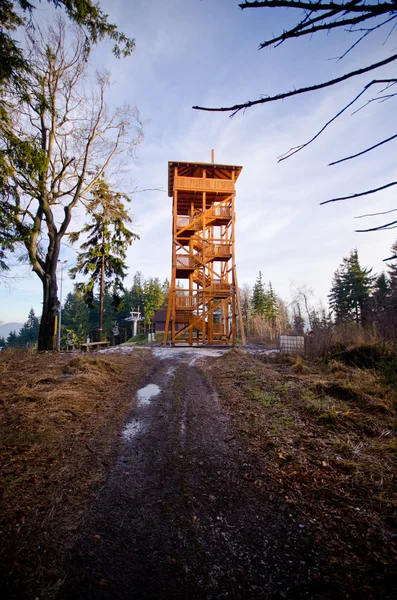 Watch tower i skogen — Stockfoto