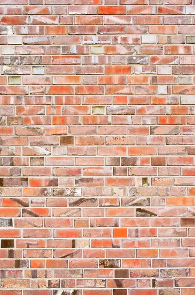 Textura de ladrillo — Foto de Stock