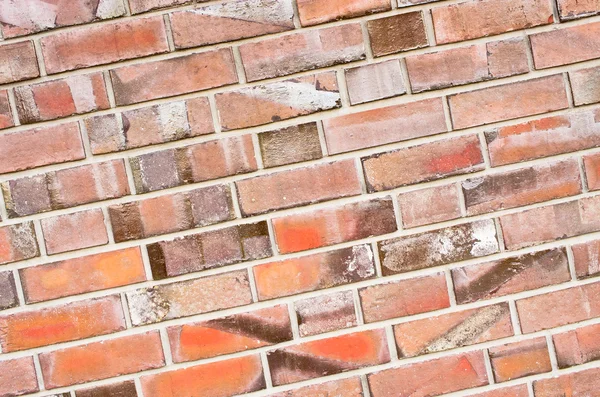 Brick texture — Stock Photo, Image