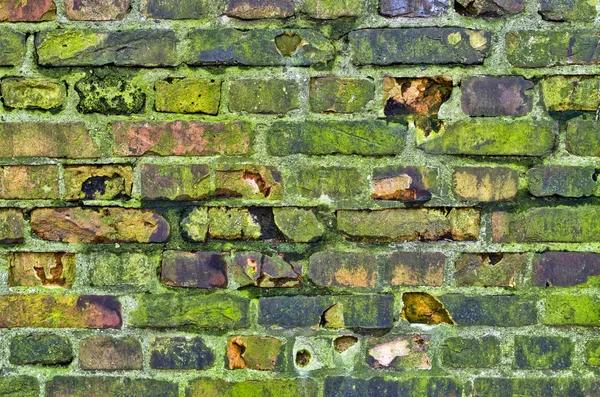 Antiguo muro musgoso — Foto de Stock