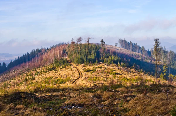 Autumn view on hills — Stock Photo, Image