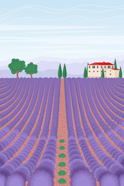 Campo de lavanda paisaje. Fondo vertical de verano. Ilustración vectorial en estilo plano — Archivo Imágenes Vectoriales