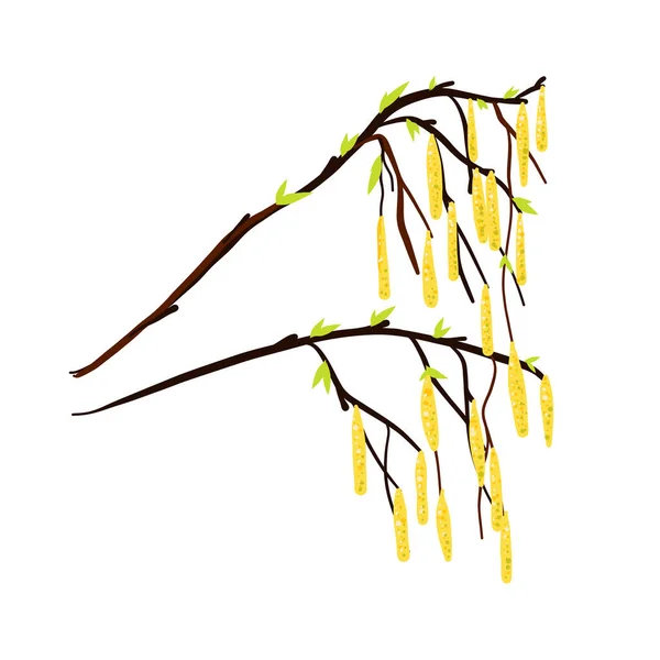 Une brindille d'un bouleau aux feuilles et boucles d'oreilles jaunes. — Image vectorielle