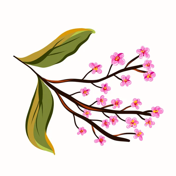 Rama de primavera de un manzano floreciente. — Archivo Imágenes Vectoriales