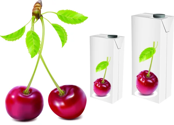 vektör çizim izole meyve suyu karton kutular