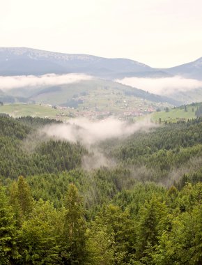 Karpat Dağları, Ukrayna