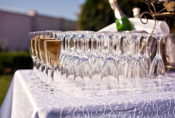 Champagneglazen op tafel — Stockfoto