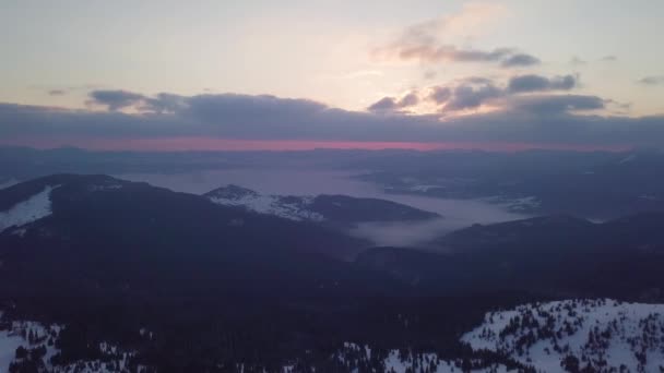 Aerial View Rising Sun Mountain Forest Snow Covered Trees — Stock Video