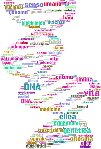 Nuvem de etiquetas de ADN Elica di — Fotografia de Stock