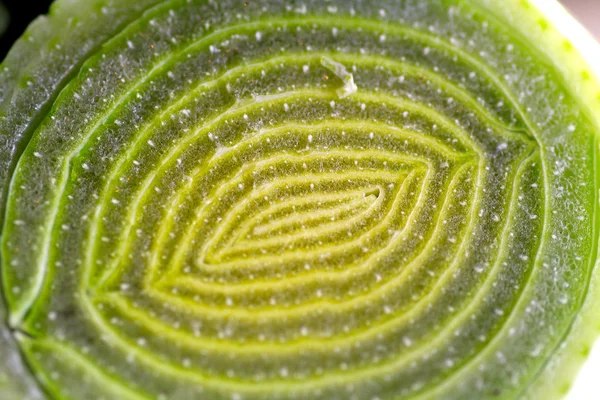 Chopped fresh leek — Stock Photo, Image