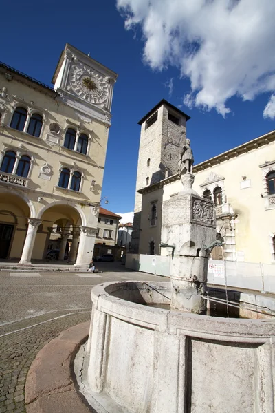 A Palazzo dei Rettori és a Torre Civica, fontos épületek a város a Belluno Dolomitok — Stock Fotó