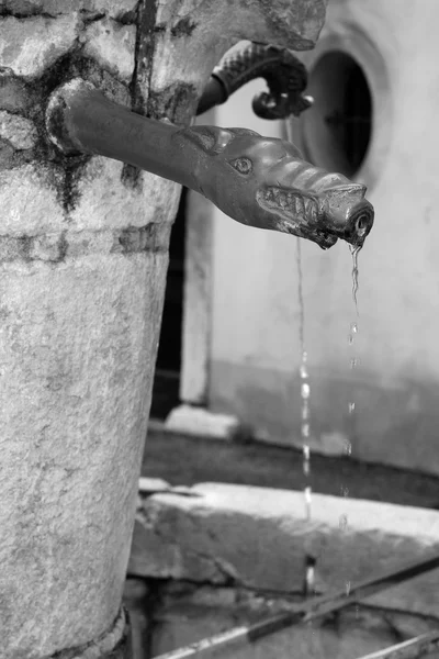 Detail eines antiken Brunnens in Belluno — Stockfoto
