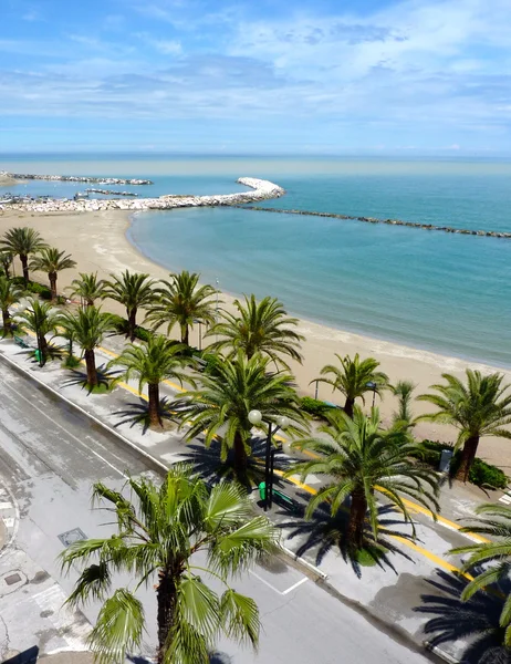 Seafront with palms in Martinsicuro, Italy — Stock Photo, Image