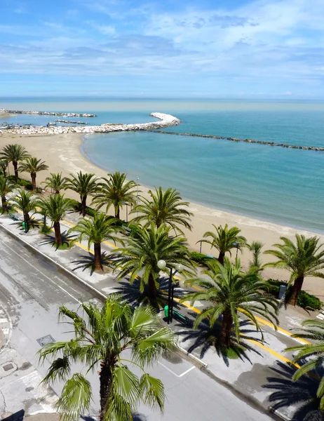 Primera línea de mar con palmeras en Martinsicuro, Italia — Foto de Stock