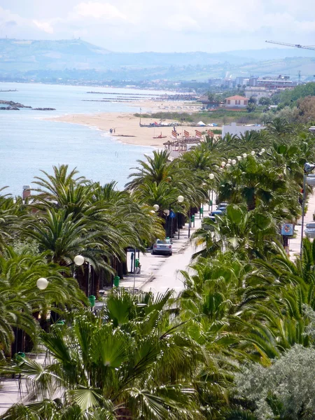 Primera línea de mar con palmeras en Martinsicuro, Italia —  Fotos de Stock