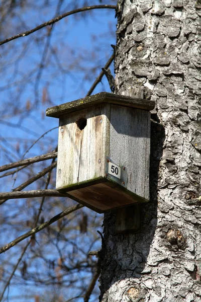 Bir ağaç gövdesi üzerinde kuş evi — Stok fotoğraf