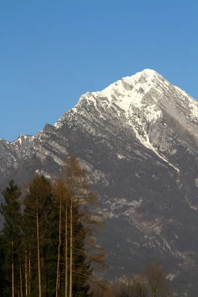 Dolomitok sétány — Stock Fotó