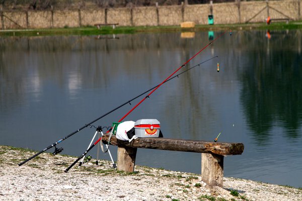 Sports fishing