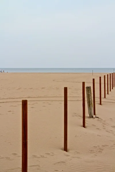 Perspectiva de postes de madera en una playa — Foto de Stock