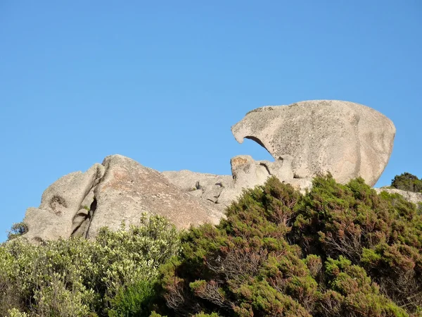 Vejetasyon ve Granit kayalar Gallura, Sardunya, İtalya — Stok fotoğraf