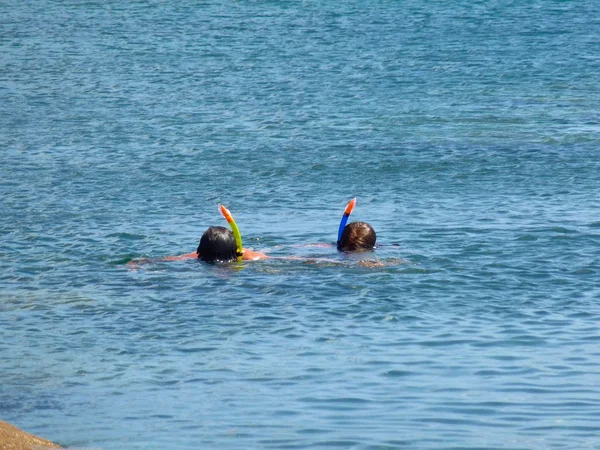 Αγόρια, κολύμβηση με αναπνευστήρα στην βραχώδη παραλία στη Σαρδηνία. αγνώριστος πρόσωπα. — Φωτογραφία Αρχείου