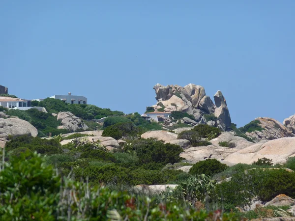 Vejetasyon ve Granit kayalar Gallura, Sardunya, İtalya — Stok fotoğraf