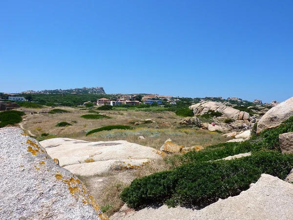 Vegetation och granitklippor i Gallura, Sardinien, Italien — Stockfoto