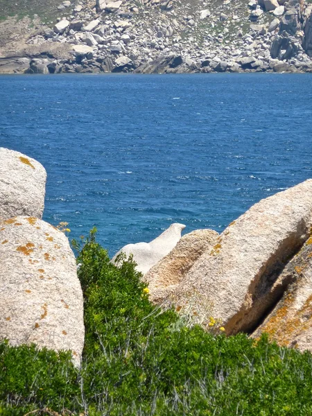 Capo testa, gallura, Sardunya, İtalya kayalık plaj — Stok fotoğraf