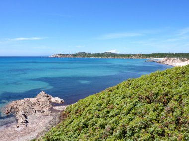 güzel plaj rena majori, Sardunya, İtalya, costa paradiso (Kuzey Sardunya)