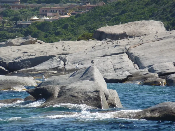 Isuledda, také volal isola dei gabbiani, je téměř ostrov v severní Sardinie, Itálie, — Stock fotografie