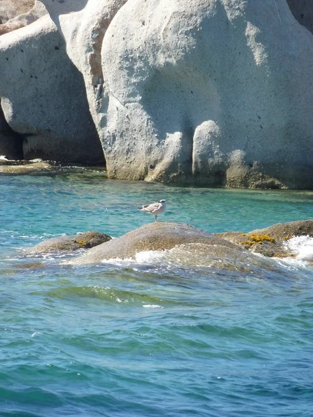 La Isuledda, también llamada Isola dei Gabbiani, es una isla en el norte de Cerdeña, Italia. , —  Fotos de Stock