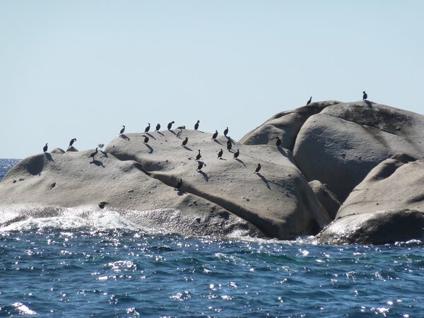 The Isuledda, also called Isola dei Gabbiani, is an almost-island in northern Sardinia, Italy,