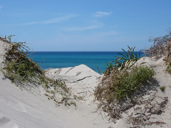 Sand dune on a beach — Stock Photo, Image