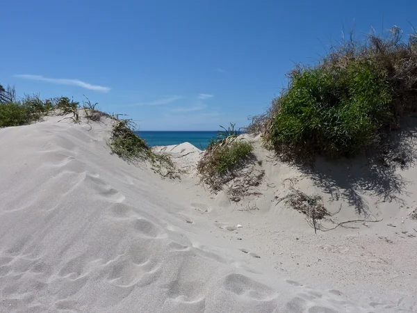 Sanddüne am Strand — Stockfoto