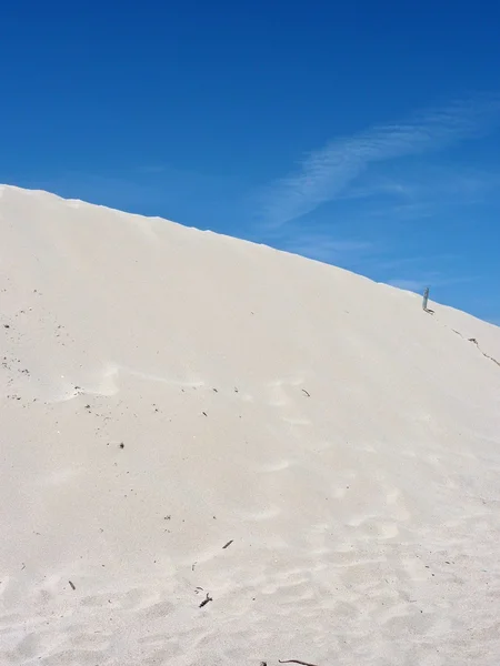 Duna di sabbia su una spiaggia — Foto Stock