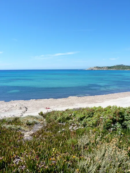 美丽海滩 rena 广大用户的需求，撒丁岛，意大利，哥斯达黎加天堂 （北撒丁岛) — 图库照片