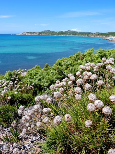 Beautiful beach Rena Majori, Sardinia, Italy, Costa Paradiso (North Sardinia) — Stock Photo, Image