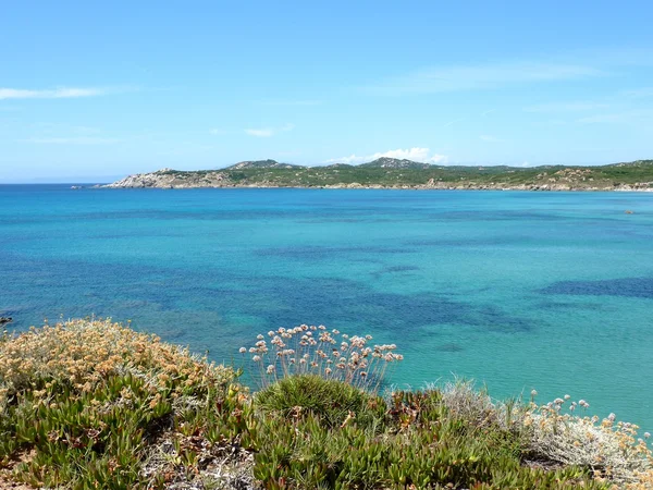 Prachtige strand rena majori, Sardinië, Italië, costa paradiso (Noord Sardinië) — Stockfoto