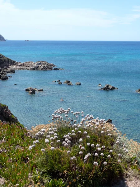 Krásná pláž rena majori, Sardinie, Itálie, costa paradiso (Severní Sardinie) — Stock fotografie