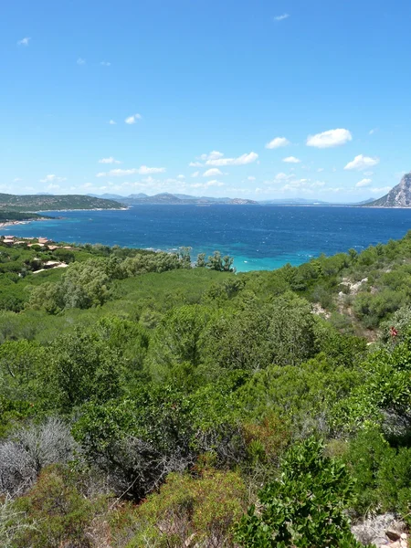 Cerdeña - bahía en San Teodoro —  Fotos de Stock