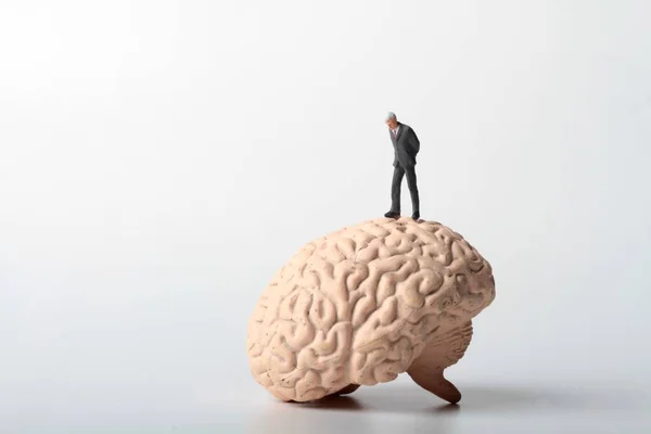 Figurita Miniatura Humano Sentado Cerebro Gigante —  Fotos de Stock