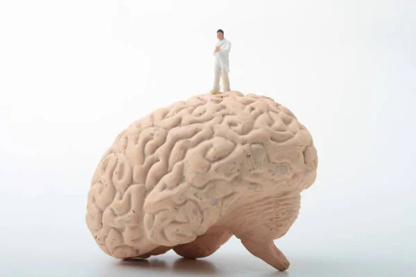 Estatueta Miniatura Médico Neurologista Cérebro Humano Gigante — Fotografia de Stock
