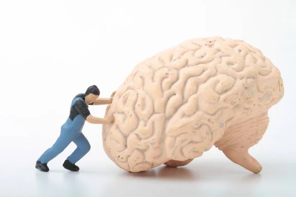 Figurita Miniatura Hombre Empujando Cerebro Gigante —  Fotos de Stock