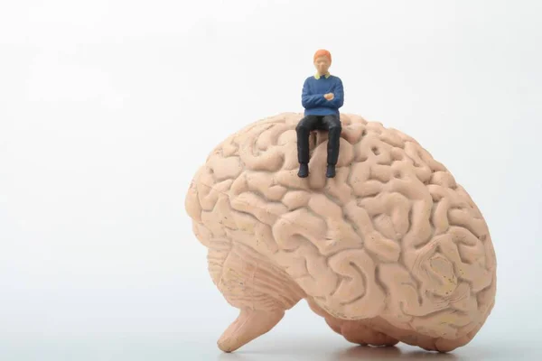 Миниатюрная Фигурка Человека Сидящего Гигантском Мозге — стоковое фото