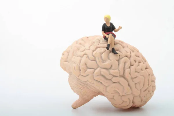 巨大な脳の上に座っている人間のミニチュアフィギュア — ストック写真