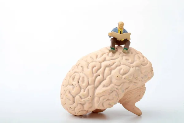 Miniaturní Figurka Člověka Sedícího Obřím Mozku — Stock fotografie